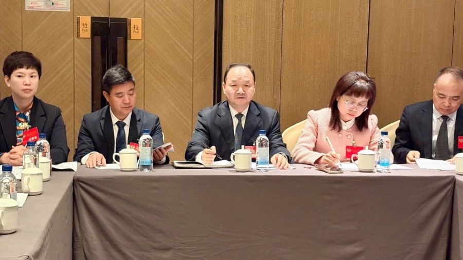 【聚焦两会】区政协领导参加委员分组讨论